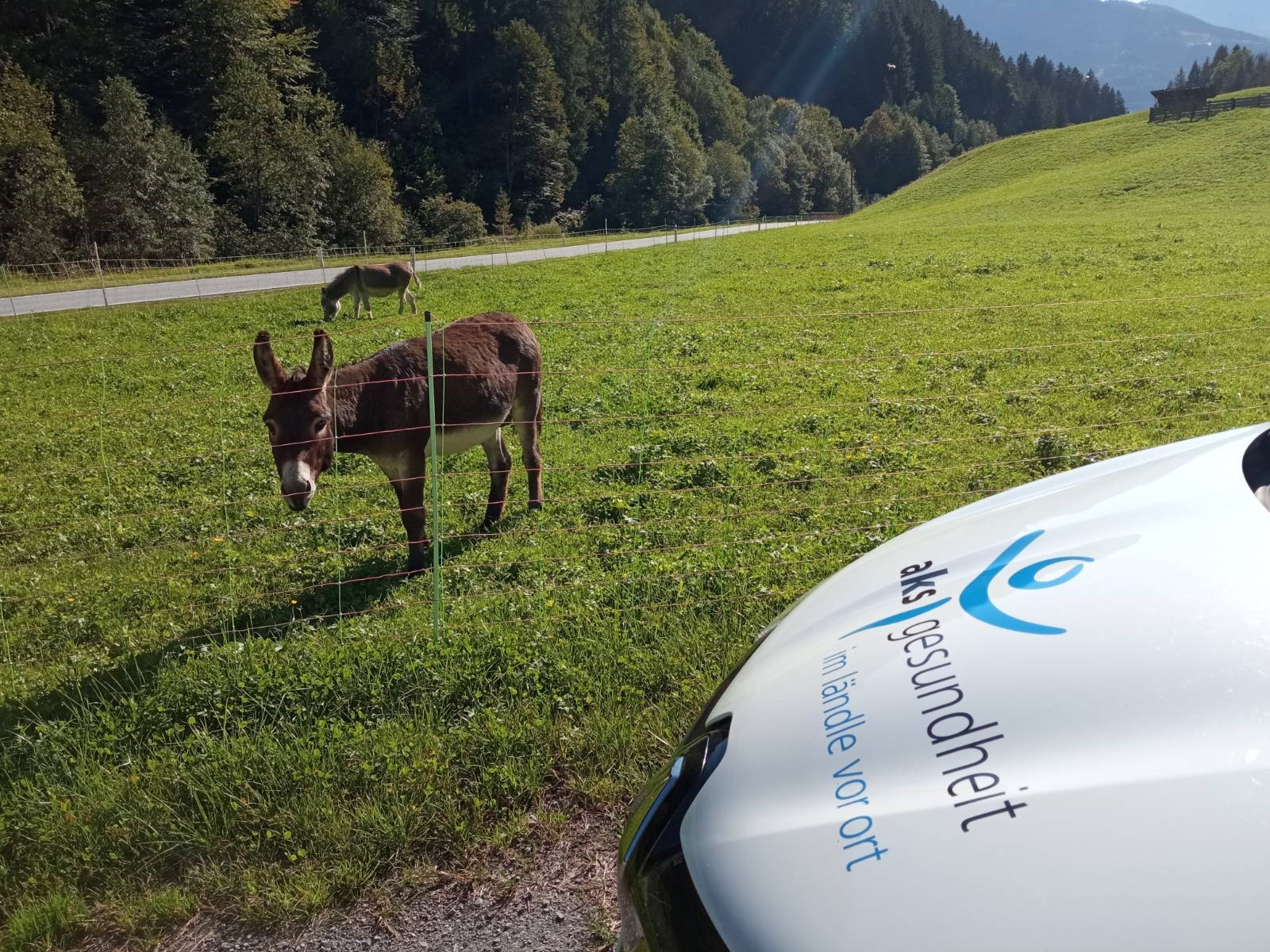 tierische Begegnungen