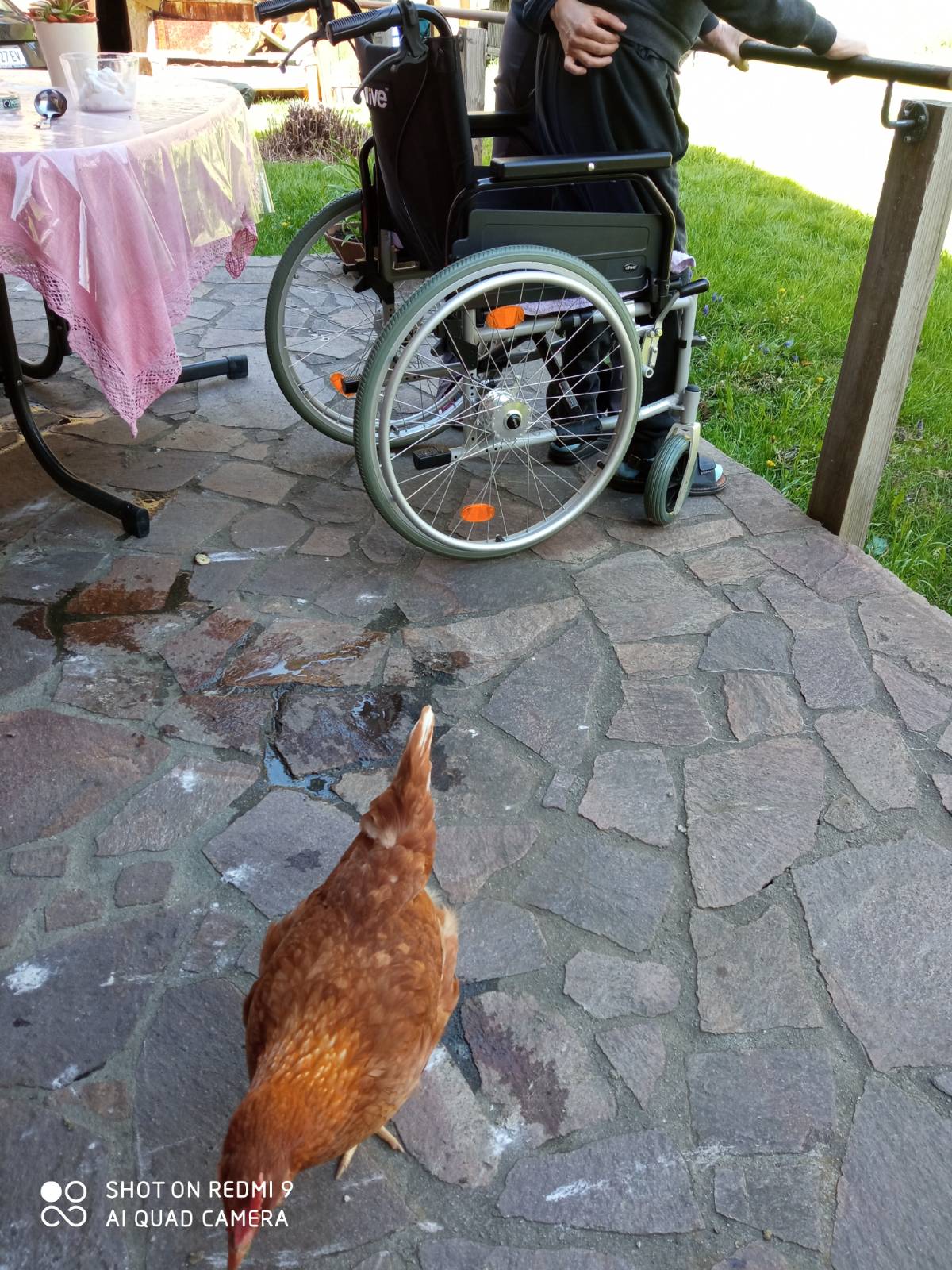image 002